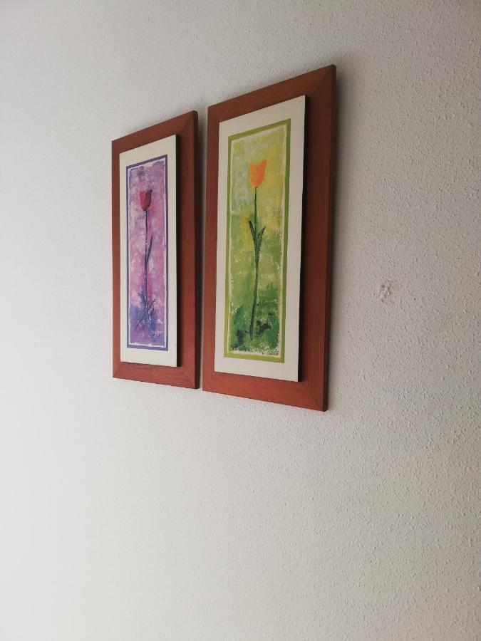Apartamento Naturista En Primera Linea En Natura World! Vera Exteriér fotografie